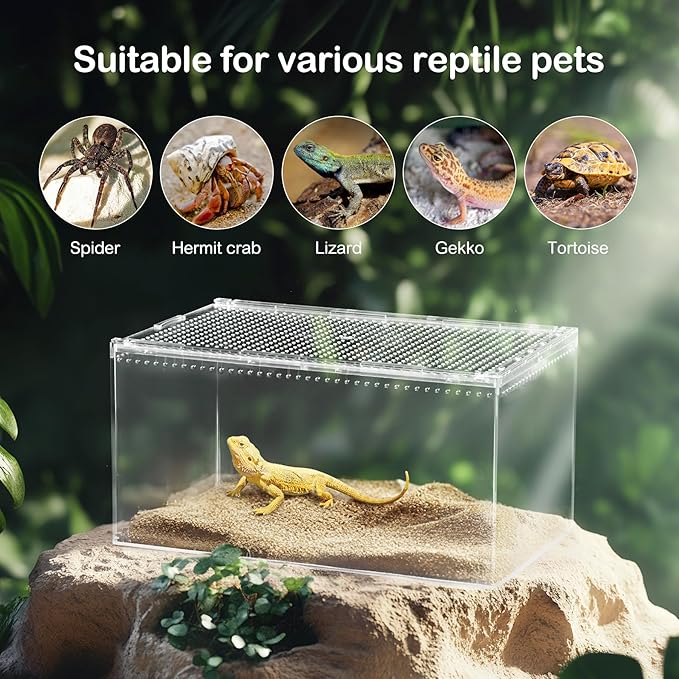 Reptile PC Terrarium,Spider Tank Starter Kit,Leopard Gecko Container,Tarantula Cage,Hermit Crab Habitat,Lizard Enclosure,Insect Housing,Jumping Spider Enclosure,Small Bearded Dragon Vivarium