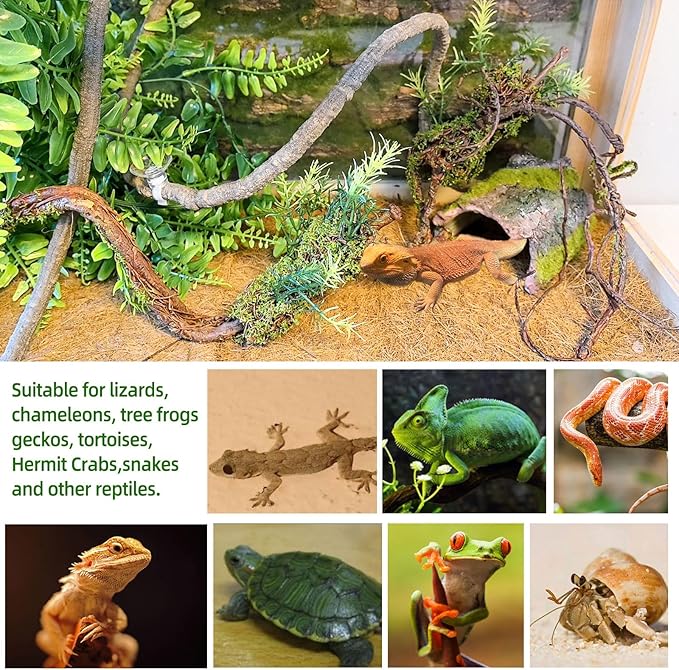 BNOSDM Reptile Vines, Bendable Jungle Climbing Vine, Terrarium Artificial Plants Decor, Reptiles Tank Accessories for Bearded Dragons, Chameleons, Snakes, Lizards, Hermit Crabs