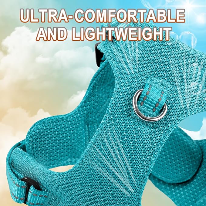 Dog Harness Step in Dog Vest Harness, Reflective Adjustable Puppy No Pull Harness Breathable Soft for Small and Medium Dogs Cats, Ocean Blue, XS