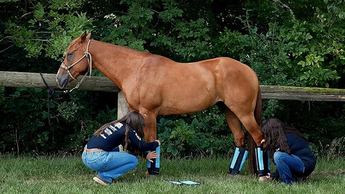Warrior Fly Boots for Horses - Breathable Mesh Horse Boots for Fly Protection & Leg Comfort - Set of 4 (The Warrior, Light Blue)