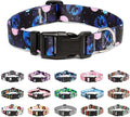 Mercano Adjustable Dog Collar - Special Design Patterns, Soft Nylon Comfortable Sturdy Pet Collar for Small Medium Large Dogs (XS, Night Sky)