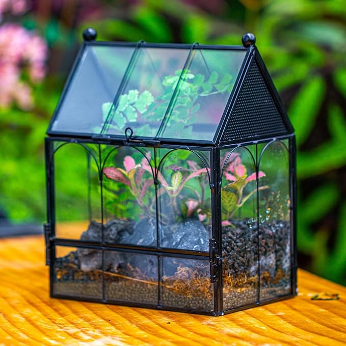 NCYP Small Glass Spider Enclosure with Mesh for Jumping Spiders, Snails, Micro House Shaped Front Opening Plant Terrarium, Home Decor Black, 5.8" x 3.8" x 7" (Terrarium Only)