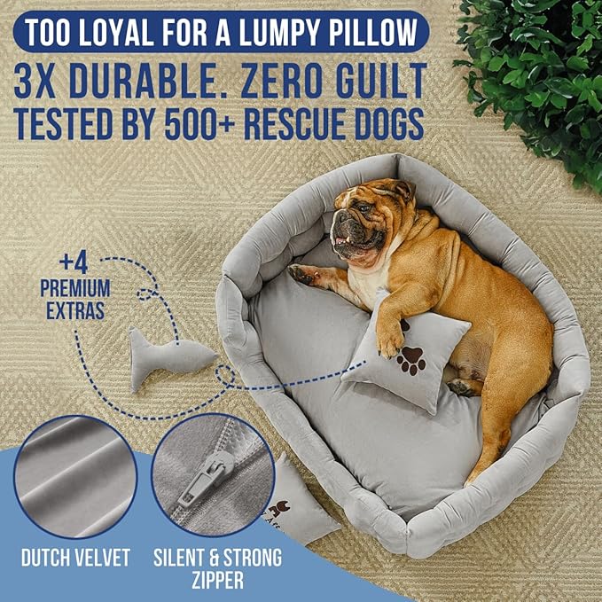 Luxury Dog Bed Chesterfield – Handcrafted Velvet Throne for Dogs | Joint Support, Calming & Temp-Regulating Comfort | Durable 5+ Years, Anti-Claw, Washable 100+ Times – L, Gray