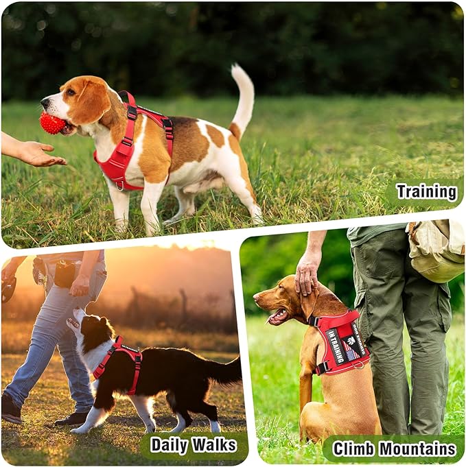 WINSEE Service Dog in Training Harness with 5 PCS Patches, Reflective Tactical Dog Vest Harness, Adjustable Soft Oxford Pet Harness with Easy Control Handle, Hook & Loop Panels for Walking Hiking