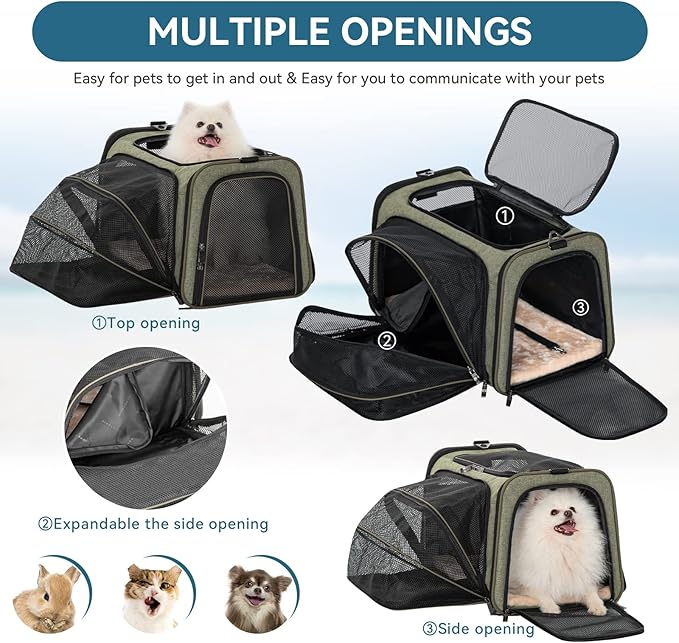 Petsfit Expandable Cat Carrier Dog Carrier, Soft-Sided Collapsible Portable Pet Carrier, 19x12x12, Green