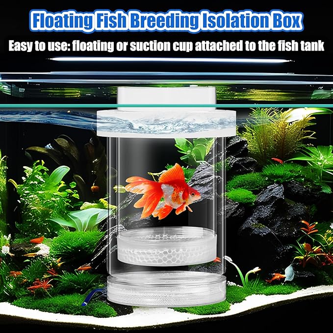 2 Pcs Breeder Box for Fish Tank Aquarium Breeder Separation Net Breeding Box with Suction Cup for Small Fish Shrimp Clownfish Guppy(White,M)