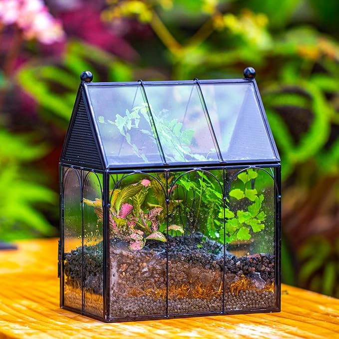 NCYP Small Glass Spider Enclosure with Mesh for Jumping Spiders, Snails, Micro House Shaped Front Opening Plant Terrarium, Home Decor Black, 5.8" x 3.8" x 7" (Terrarium Only)