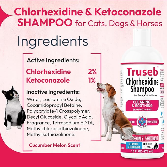 Truseb Topical Ketoconazole and Chlorhexidine Shampoo for Dogs, Cats, and Horses with Aloe - 16 oz (Ketoconazole & Chlorhexidine Shampoo, 16 oz)