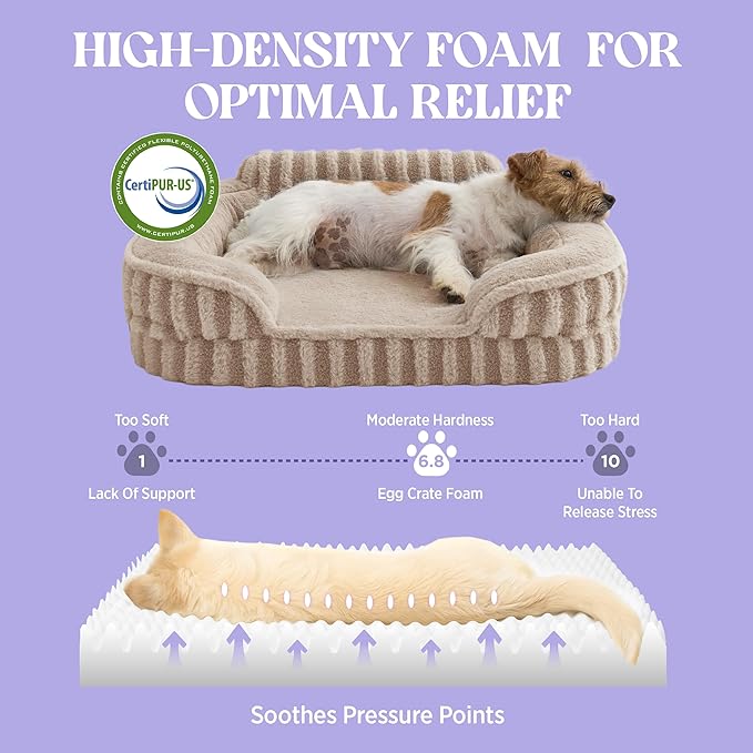 LE SURE Cute Dog Bed Medium Size Dog, Orthopedic Waterproof Medium Pet Beds with Sides, Non-Slip Bottom and Egg-Crate Foam Pet Couch Sofa with Washable Removable Cover, Hazel