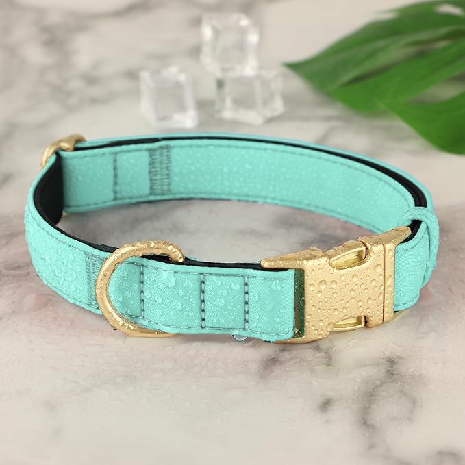 Didog Soft Padded Dog Collars for Medium Dogs, Colorful and Durable Dog Collar with Quick Release Buckle, Light and Breathable for Daily Walking, Green, M