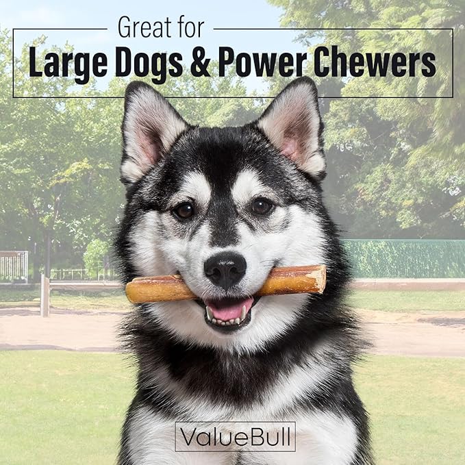 ValueBull Bully Sticks for Large Dogs, Jumbo 6 Inch, 100 Count Bulk Pack - All Natural, Grass Fed, Single Ingredient, Long Lasting Dog Treats for Aggressive Chewers