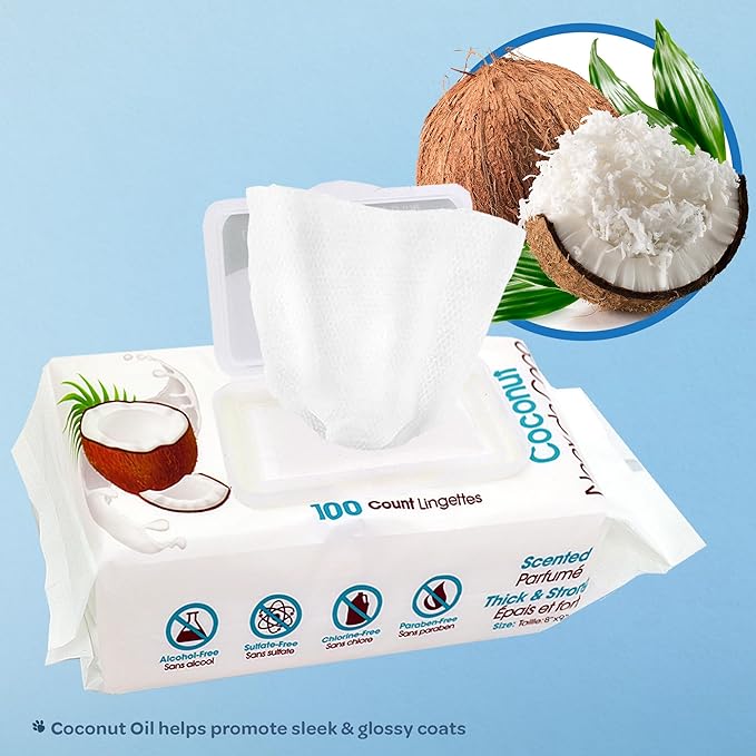 Best Pet Supplies Pet Wipes for Dogs - Dog Wipes Cleaning Deodorizing, for Coats, Ears, Paws - Moisturizing, Coconut, 100 Count