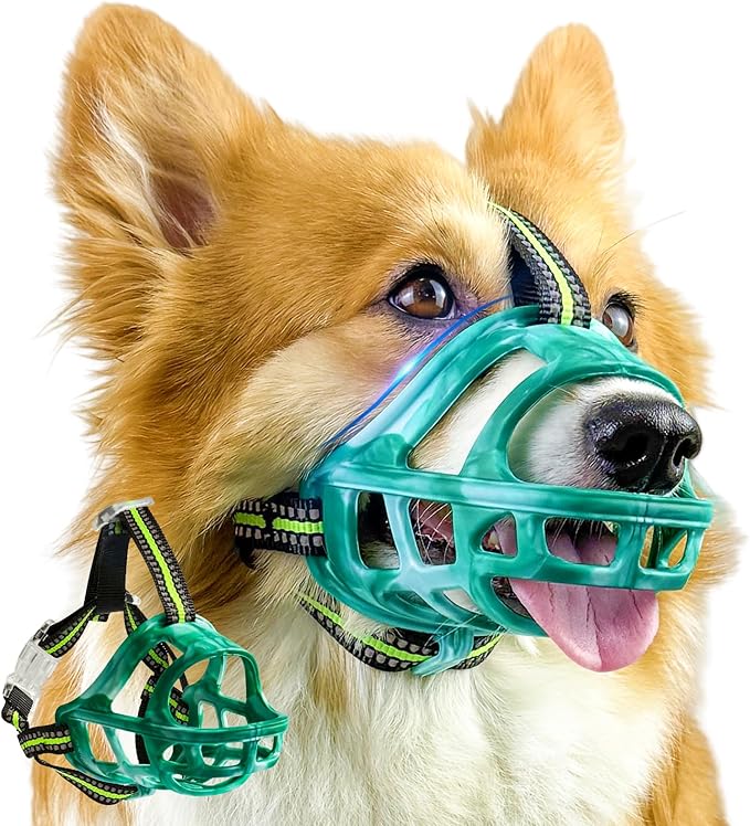 Dog Muzzle, Basket Muzzle for Small Medium Large Dogs, Anti-Biting and Chewing, Lightweight & Sturdy Cage Design, Allows Panting & Drinking, Ideal for Grooming & Training(Green Size M)