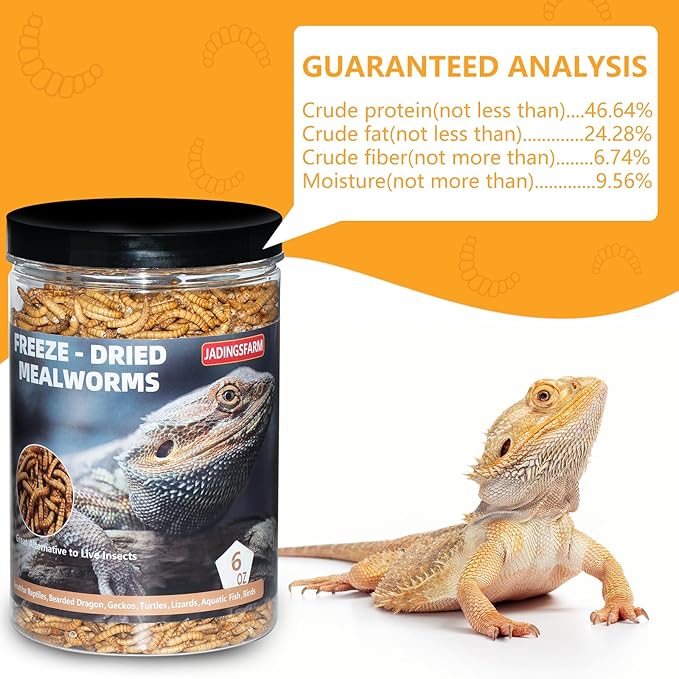 Freeze Dried Mealworms 6 Oz - High Protein Pet Food for Reptiles, Bearded Dragons, Birds & Hedgehogs - Nutrient-Packed Treat for Lizards, Geckos, Turtles, Chickens