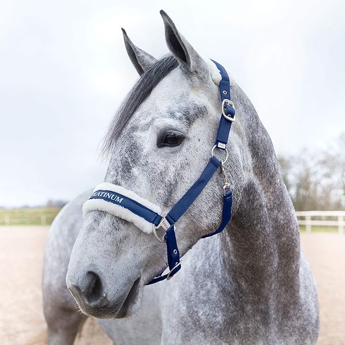 HORZE Howard Soft Fleece Padded Adjustable Polyester Horse Halter - Peacoat Dark Blue - Cob