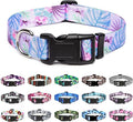 Mercano Adjustable Dog Collar - Special Design Patterns, Soft Nylon Comfortable Sturdy Pet Collar for Small Medium Large Dogs (M, Floral Purple)