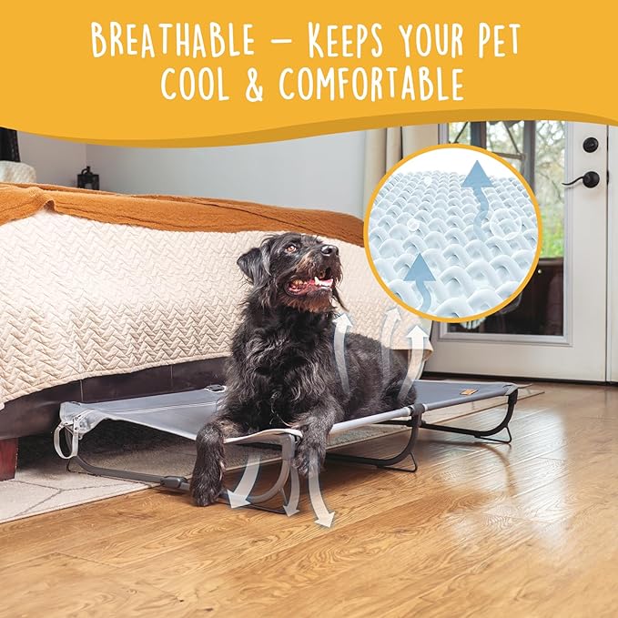 Daisy Cot, Large Foldable Elevated Dog Bed, Portable Raised Outdoor Folding Dog Cot, Cooling, Chew Proof, Waterproof, Heavy Duty Up to 160 lbs for Camping/Home, Grey, 43"x 27"x7"