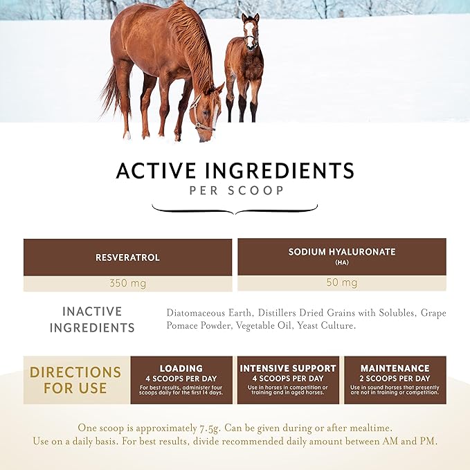 Equithrive Original Joint Supplement Powder with Resveratrol and Hyaluronic Acid for Horses, Equine Care, 8 lbs