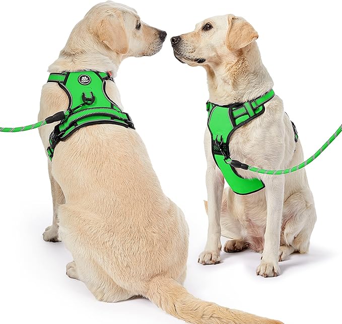 NESTROAD No Pull Dog Harness,Adjustable Oxford Dog Vest Harness with Leash,Reflective No-Choke Pet Harness with Easy Control Soft Handle for Small Dogs(Small,FluorescentGreen)