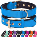 Didog Soft Padded Dog Collars for Small Dogs, Lightweight and Breathable Dog Collar with Metal Buckle, Blue, M