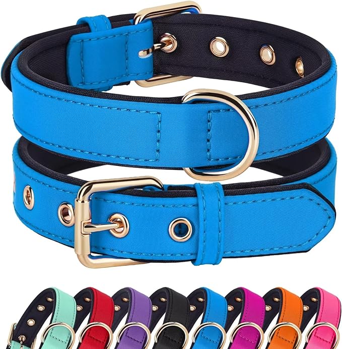 Didog Soft Padded Dog Collars for Small Dogs, Lightweight and Breathable Dog Collar with Metal Buckle, Blue, M