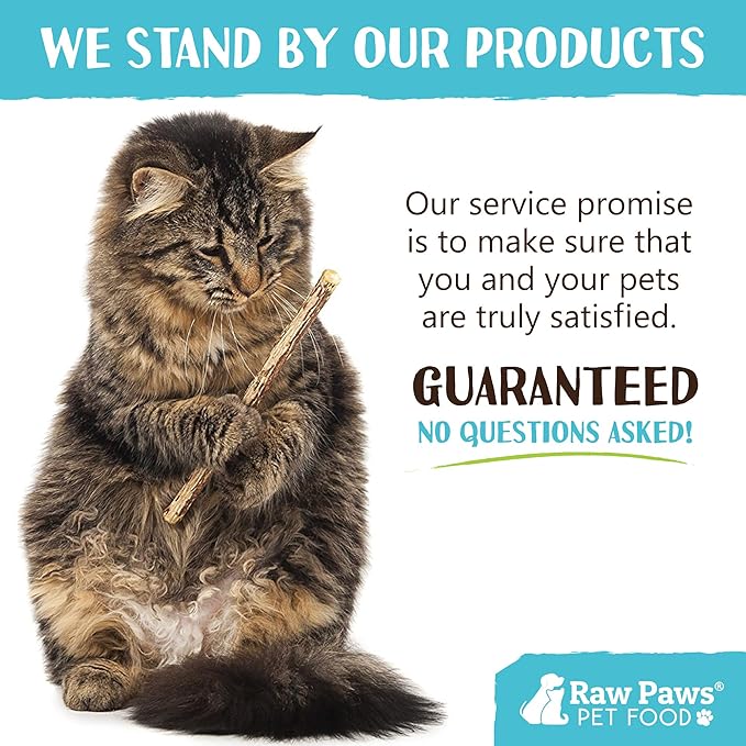 Raw Paws Silvervine Sticks for Cats (30 Pack) - Silvervine Cat Toy for Indoor Cats - Catnip Sticks - Silver Vine Cat Chew Stick