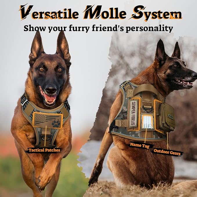 rabbitgoo Dog Harness Small Sized No Pull, Tactical Service Pet Vest with Molle and Control Handle, Adjustable and Reflective Military Harness for Easy Walking and Training, Desert camo, S
