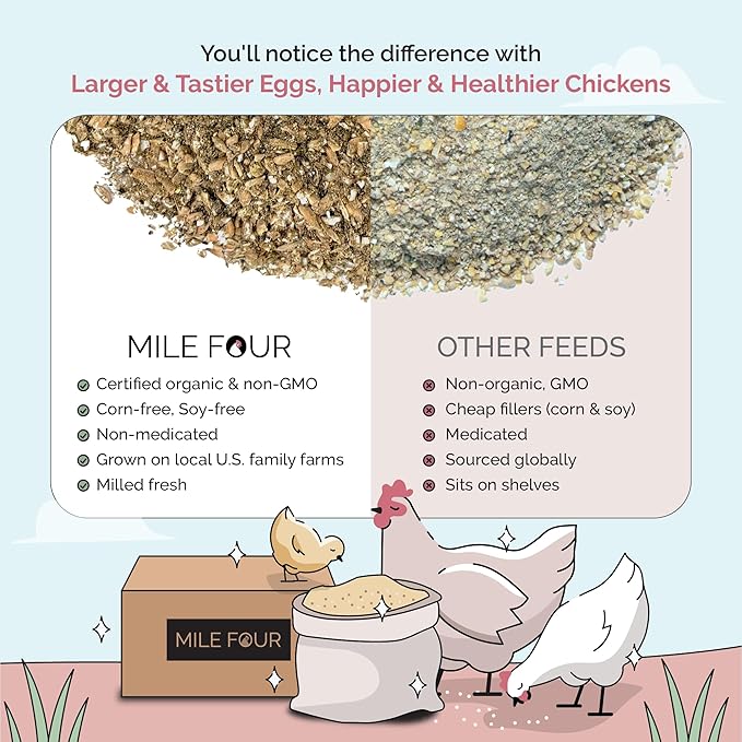 Organic Chicken Feed – Layer Mash, Non-GMO, USA Grown, 16% Protein, Corn-Free, Soy-Free, Non-Medicated Feed for Chickens, 2 lbs Sample