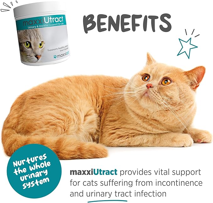 maxxipaws maxxiUtract Urinary & Bladder Support - Powder Supplement for Cats, 3.2oz