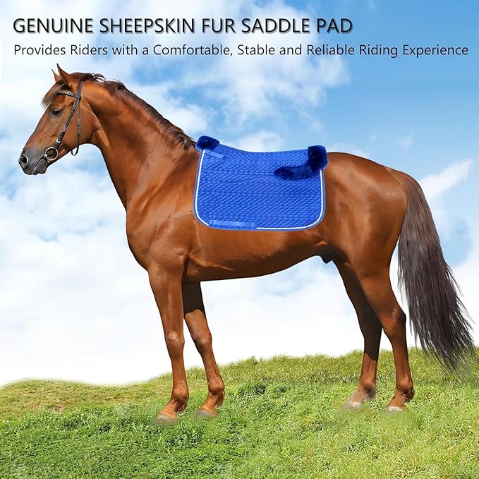 Woolous Dressage Saddle Pad, English Saddle Pad with Sheepskin Trim, Lambskin Wool Fleece Lining, Square Saddle Pad for Equestrian Riding, Comfortable & Shock Absorbing
