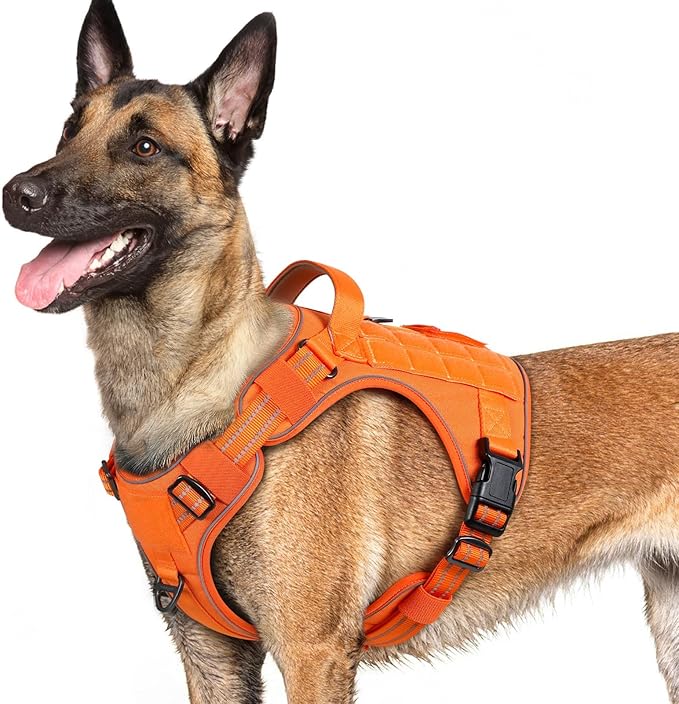 rabbitgoo Dog Harness for Large Dogs No Pull, Tactical Service Pet Vest with Molle and Control Handle, Adjustable and Reflective Military Harness for Easy Walking and Training, Orange, L