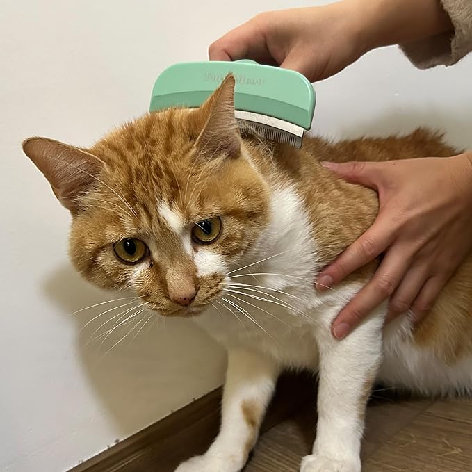 Pet Deshedding Tool with Curve Blade, Cat Grooming Brush, Tight V-shaped Teeth Shedding Comb for Cats and Dogs (Green, Large)