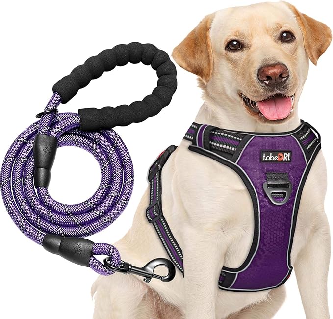 No Pull Dog Harness Adjustable Reflective Oxford Easy Control Medium Large Dog Harness with A Free Heavy Duty 5ft Dog Leash (S (Chest: 17.5"-21"), Purple Harness+Leash)