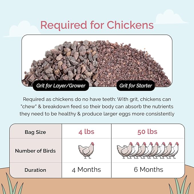 Chicken Grit for Layer & Grower Chickens Age 8-20+ Weeks - 100% Natural Mineral Chicken Grit Quartzite, Poultry Grit, USA Mined, 50 lbs