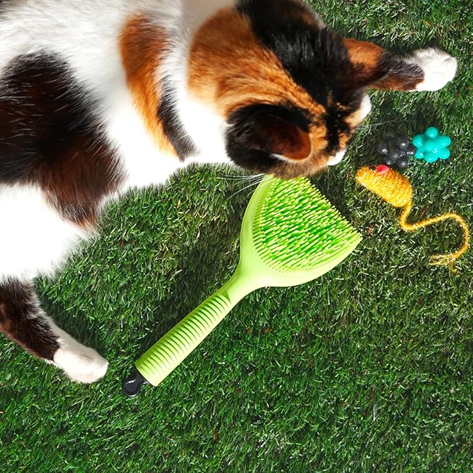 Michel Mercier Pet Detangling Brush - Fine or Normal Fur - Cat & Dog Brush for Grooming, Detangling & Deshedding - 1 pc