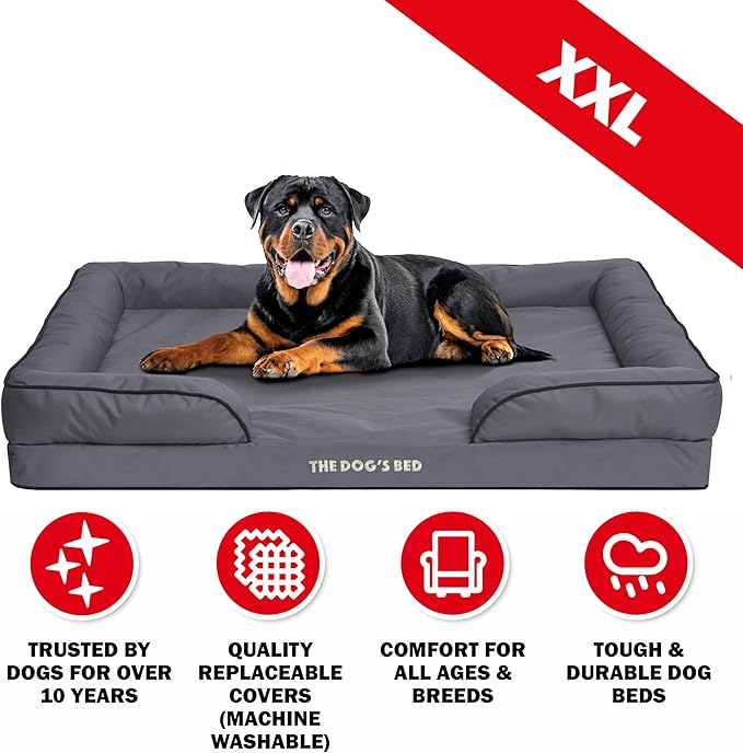 The Dog’s Bed, Orthopedic Standard Foam Waterproof Dog Bed with Standard Support, XXL Grey with Black Trim, Waterproof, Supportive Dog Bed with Replaceable Covers, Veterinary Approved