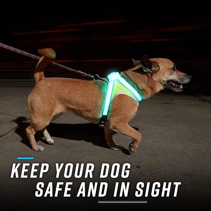 Noxgear LightHound - Multicolor LED Illuminated, Reflective Dog Harness (Medium)