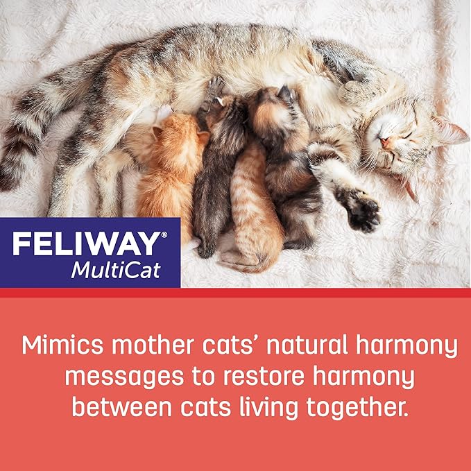 FELIWAY® MultiCat 6 x 30 Day Cat Calming Refills for Pheromone Diffuser, 6 x 48ml Value Pack- Helps Reduce Conflicts and Signs of Tension in Multi-Cat Households