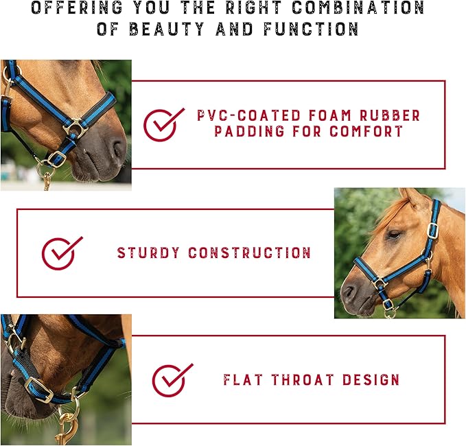 Weaver Leather Nylon Horse Halter, Padded and Adjustable, Chin and Throat Snap Hook Halters for Horses, Brass Plated Halters for Training