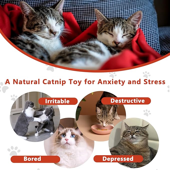 Interesting Catnip Toys Fish, 1 Pack Large Cat Toys, Soft Indoor Cat Kicker Toys, Durable and Highly Interactive Catnip Toys（Red Fish）