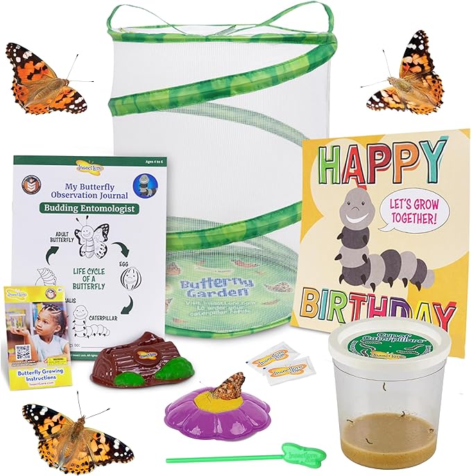Insect Lore Butterfly Garden with Giant Birthday Card | 5 Live Baby Caterpillars | STEM Journal, Habitat, Chrys-A-Lid, Feeder | Raise and Release Painted Lady Butterflies
