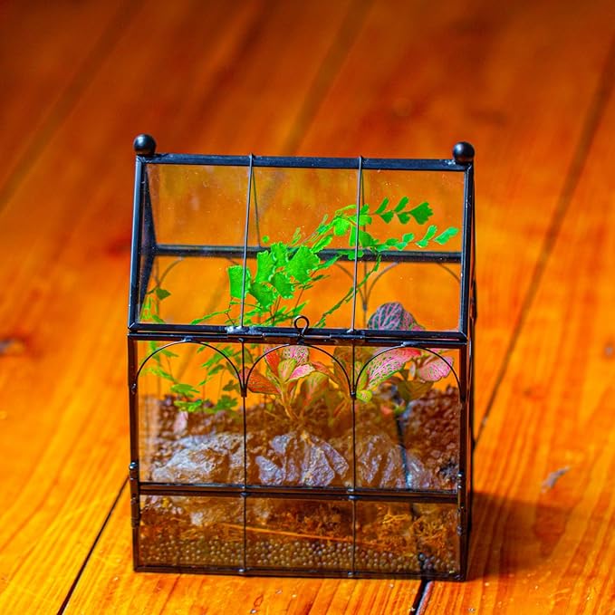 NCYP Small Glass Spider Enclosure with Mesh for Jumping Spiders, Snails, Micro House Shaped Front Opening Plant Terrarium, Home Decor Black, 5.8" x 3.8" x 7" (Terrarium Only)