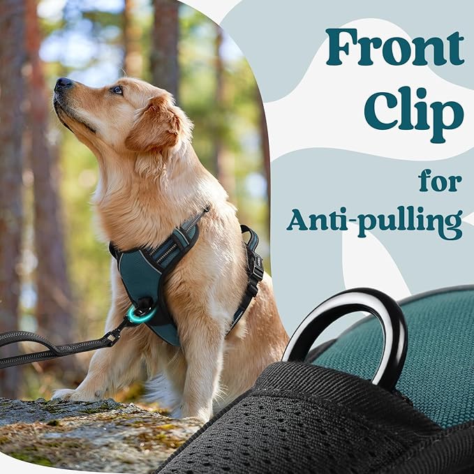 rabbitgoo Dog Harness for Large, No Pull Pet Harness with 3 Buckles, Adjustable Soft Padded Vest with Control Handle, Walking Reflective Pet Vest for Large Dogs, Blue Coral, L