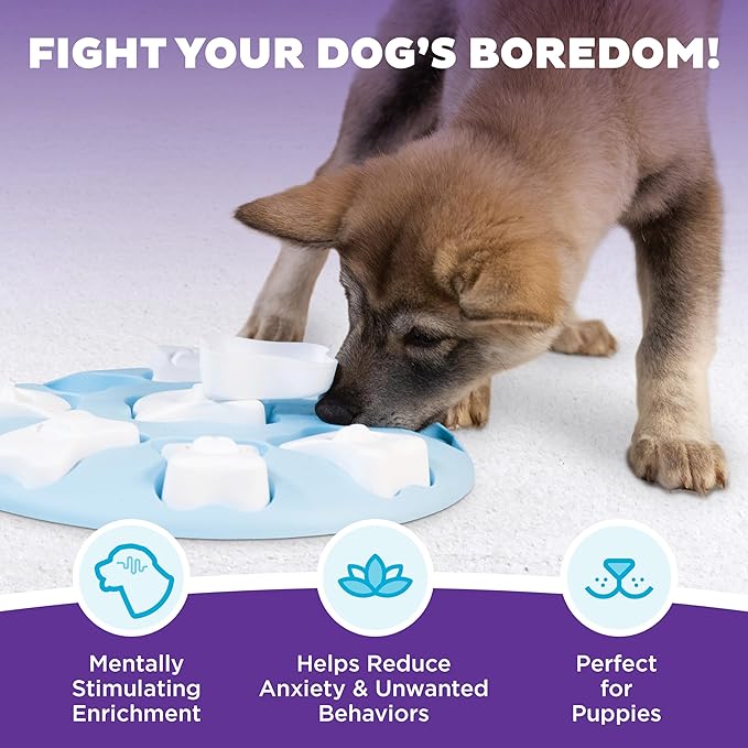 Outward Hound by Nina Ottosson Puppy Smart Treat Puzzle Enrichment Toy, Level 1 Beginner, Blue