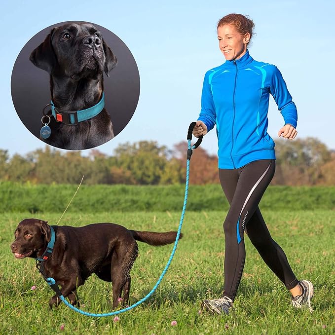 Heavy Duty Dog Leash - Comfortable Padded Handle, 5 ft Long - Dog Leashes for Small Medium Large Dogs (Leash+Collar M Neck 16"-20", Red)