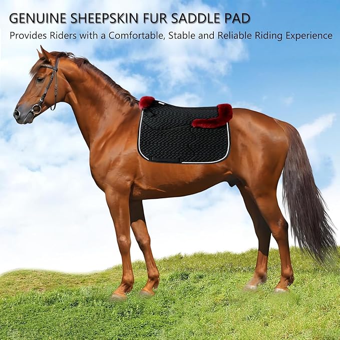 Woolous Dressage Saddle Pad, English Saddle Pad with Sheepskin Trim, Lambskin Wool Fleece Lining, Square Saddle Pad for Equestrian Riding, Comfortable & Shock Absorbing