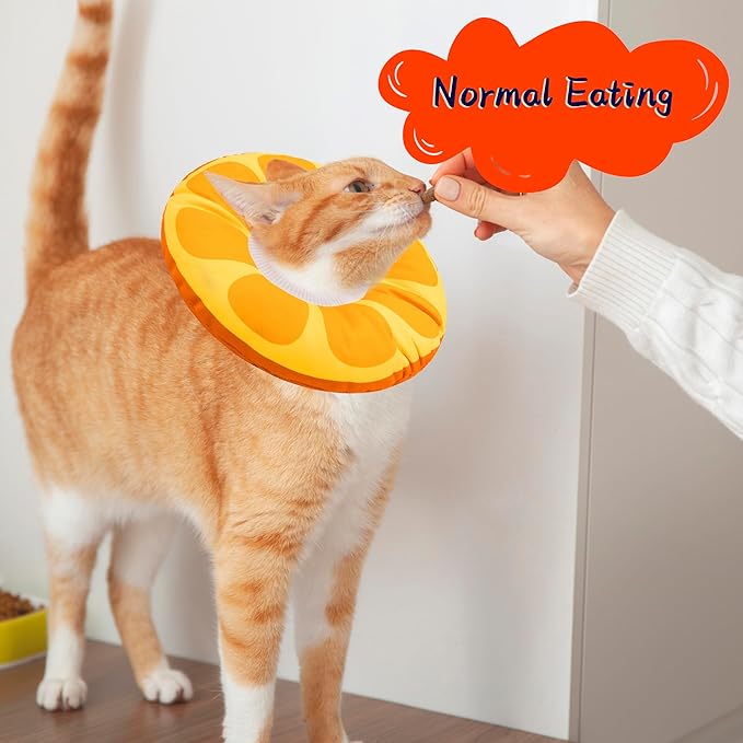 Cat Cone Collar Soft, Adjustable Cat Recovery Collar for Small Medium Large Cats, Cute Donut E Collar After Surgery, Anti-Lick Wound Healing Elizabethan Cone for Kittens (Orange, Medium)
