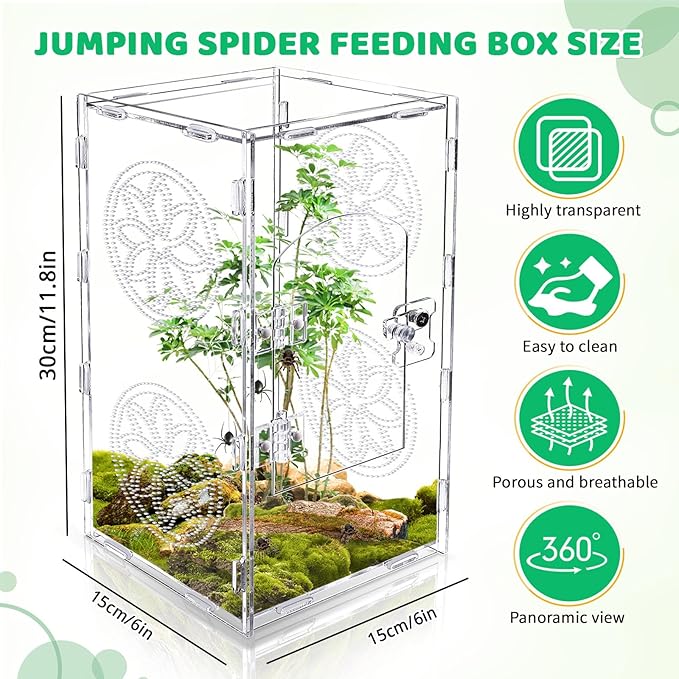 Jumping Spider Enclosure, 12x6x6 Inch Acrylic Tarantula Enclosure, Jumping Spider Accessories with Front Opening Door