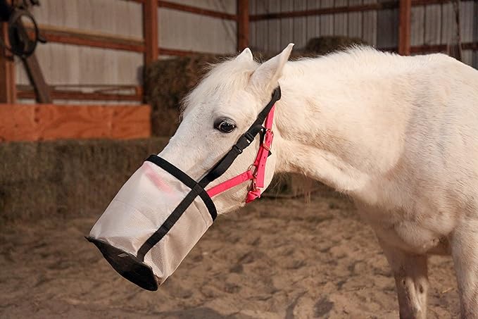 Majestic Ally Horse Feed Bag, Heavy Duty Nylon Mesh Grain Feed Bag, Adjustable Strap with Durable Snap and Elastic Straps, Comfort Neck Pad and Nose Pad- Large (Draft, Dark Gray)