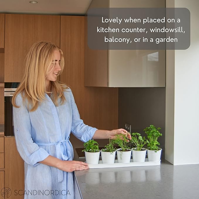 SCANDINORDICA White Herb Planter 5 Pots with Drainage Holes and Tray, Windowsill Planter, Indoor/Outdoor Herb Pots